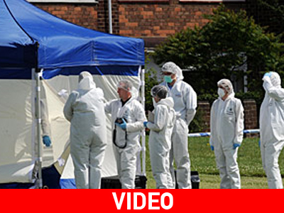 Φόβος και τρόμος σεσημασμένος εγκληματίας