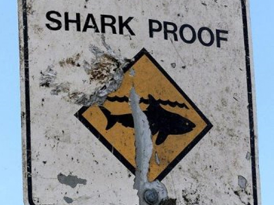 Νεκρός σέρφερ από επίθεση καρχαρία