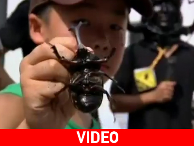 Τα σκαθάρια ποιος τα ρώτησε;