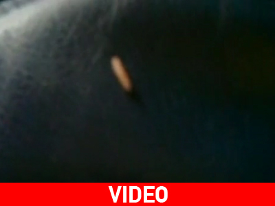 Αναγκαστική προσγείωση… λόγω σκουληκιών