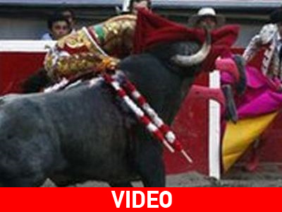 Σοβαρός τραυματισμός ταυρομάχου στην αρένα