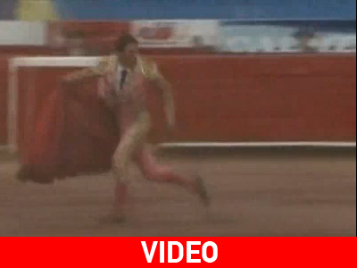 Ταυρομάχος… το’ σκασε από την αρένα