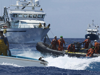 Δαμανάκη: Stop στο ψάρεμα κυανόπτερου τόνου