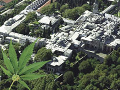 Καλλιεργούσε χασίς στο Τοπ Καπί