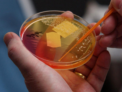 Επιδότηση… στον ανθρώπινο πόνο