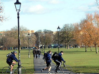 Το έριξαν… στο μέτρημα δέντρων