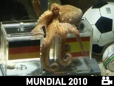 Ζήτω το χταπόδι!