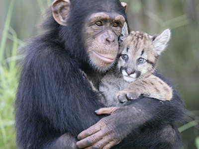 Ένα αταίριαστο … ζευγάρι