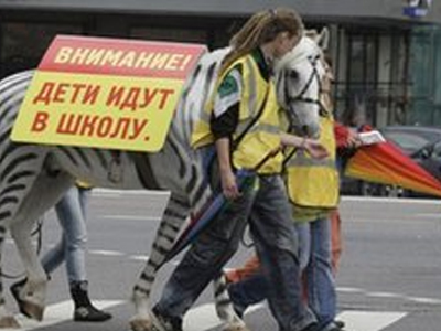 Ζέβρες… κατά της κίνησης