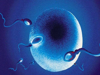 Πέντε ερωτήσεις που δεν θα κάνατε σχετικά με την αναπαραγωγή