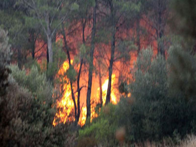Σε εξέλιξη φωτιά στη Ρόδο