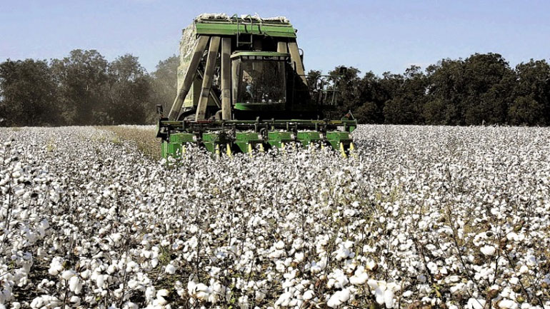 Στάση πληρωμών στους βαμβακοπαραγωγούς καταγγέλλουν βουλευτές της ΝΔ