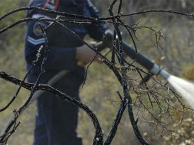 Υπό μερικό έλεγχο η φωτιά στο Κυριάκι Βοιωτίας