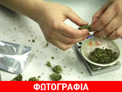 Καλλιεργούσε κάνναβη στην αυλή του σπιτιού του
