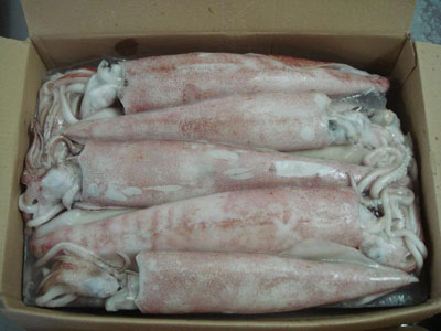 Πειραιάς: Κατασχέθηκαν 270 κιλά κατεψυγμένα αλιεύματα