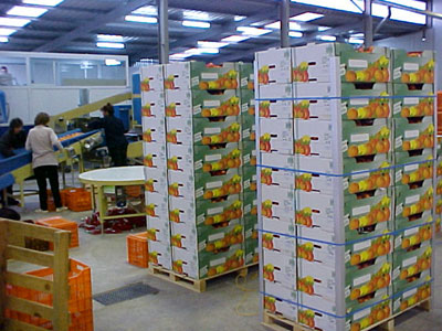 Αυξήθηκαν οι εξαγωγές ελληνικών προϊόντων προς την Αυστραλία