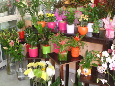 «Ανθεί» το παραεμπόριο στον κλάδο των ανθοπωλείων