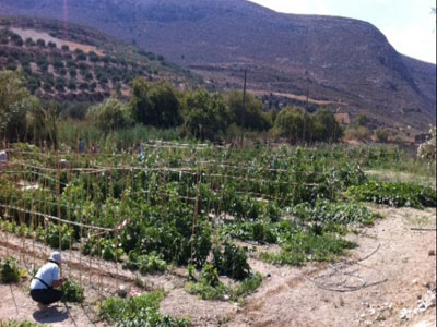 Χανιά: Παράταση στο πρόγραμμα του «Δημοτικού Λαχανόκηπου»