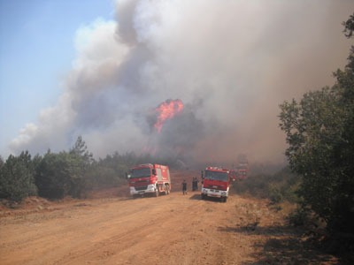 Σε εξέλιξη φωτιά στη Μεσσηνία