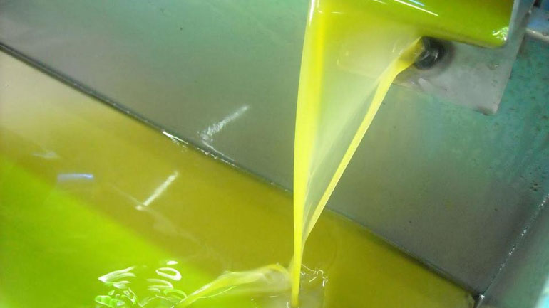 Σητεία: Αφαίρεσε από ελαιουργείο 4,5 τόνους ελαιόλαδο