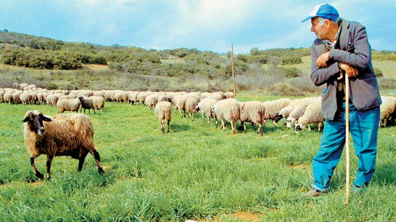 Λάρισα: Νέα συγκέντρωση αγροτών – κτηνοτρόφων την Τετάρτη στον Πλατύκαμπο