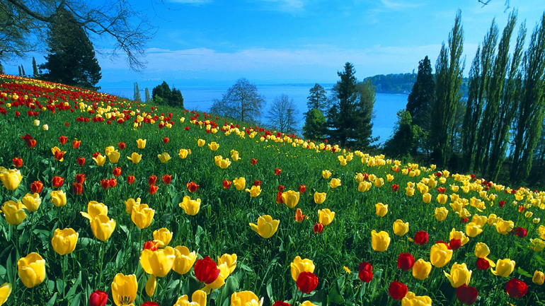 Έρευνα: Ο μήνας γέννησης καθορίζει το ύψος μας