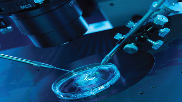 Νέες εξελίξεις στην εξωσωματική γονιμοποίηση