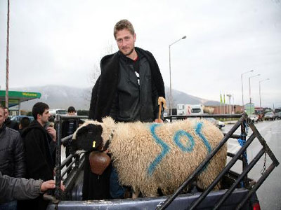 Β. Ελλάδα: Σε κινητοποιήσεις προσανατολίζονται οι κτηνοτρόφοι