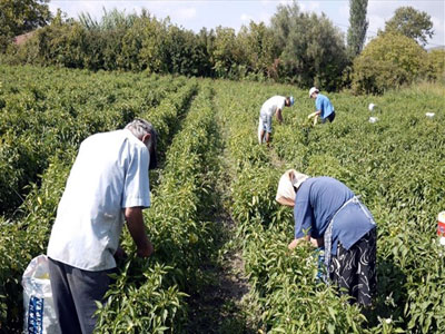 Ευνοϊκότερη φορολόγηση των αγροτών ζητούν βουλευτές της ΝΔ