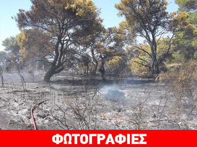 Πυρκαγιά στο Ακρωτήρι Χανίων