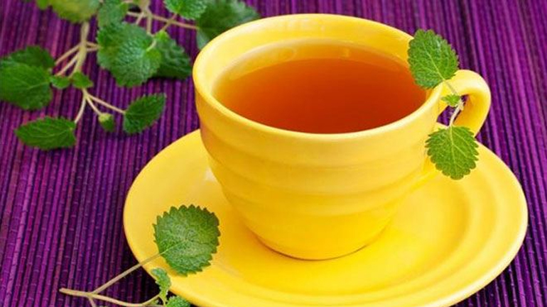 Μελισσόχορτο: Το ελιξήριο της νεότητας