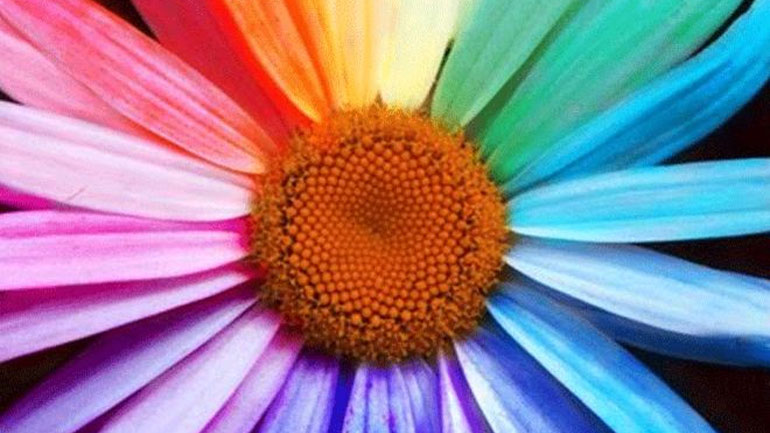 Χρώματα και διάθεση