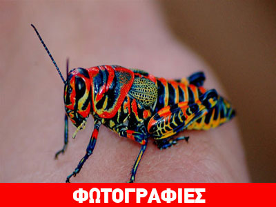 Όταν η φύση μάς επιφυλάσσει εκπλήξεις…