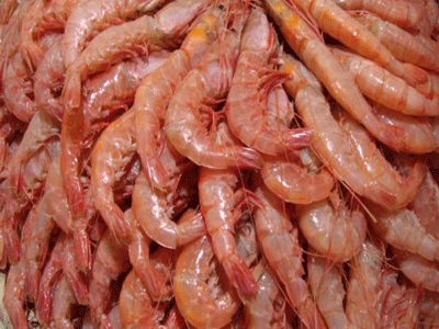 Κατάσχεση αλιευμάτων στην ιχθυόσκαλα της Ν. Μηχανιώνας