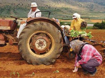 Οικονομική ενίσχυση παραγωγών από τον ΕΛΓΑ