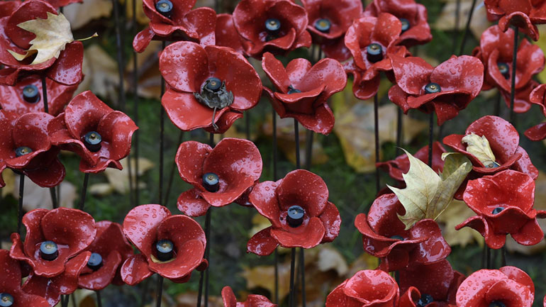 Άνοιξε ο δρόμος για την παραγωγή «σπιτικής» μορφίνης