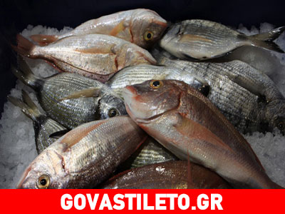 Τα ψάρια προστατεύουν από τον καρκίνο του μαστού