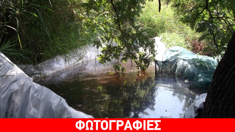 Εντοπίστηκαν δύο χασισοφυτείες στη Μεσσηνία