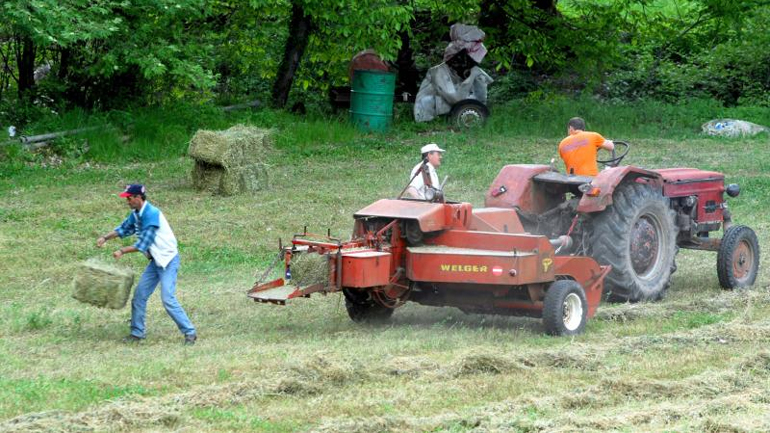 Για τα επόμενα βήματά τους αποφασίζουν αγρότες-κτηνοτρόφοι