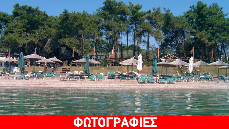 Ένας… ασυνήθιστος επισκέπτης σε παραλία της Αλεξανδρούπολης