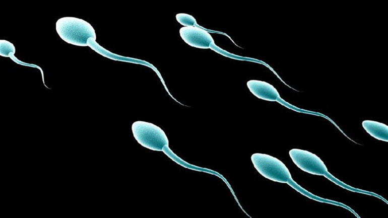 Ανθρώπινα σπερματοζωάρια δημιουργήθηκαν για πρώτη φορά στο εργαστήριο