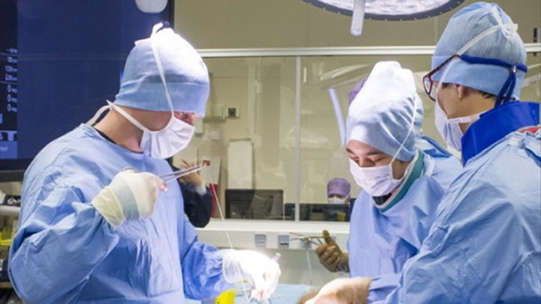 Γιατί αυξήθηκαν οι αισθητικές επεμβάσεις των γυναικείων γεννητικών οργάνων σε Αυστραλία και Ηνωμένο Βασίλειο;