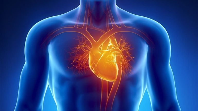Καινοτόμος μέθοδος του ΑΠΘ για την έγκαιρη διάγνωση της στεφανιαίας νόσου