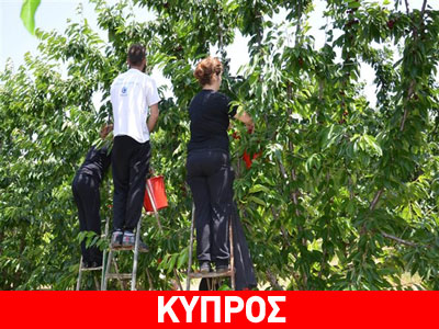 Κύπρος: Προβληματισμό στον αγροτικό κλάδο προκαλεί το ρωσικό εμπάργκο