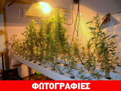 Εργαστήριο υδροπονικής καλλιέργειας κάνναβης στο Ν. Φάληρο