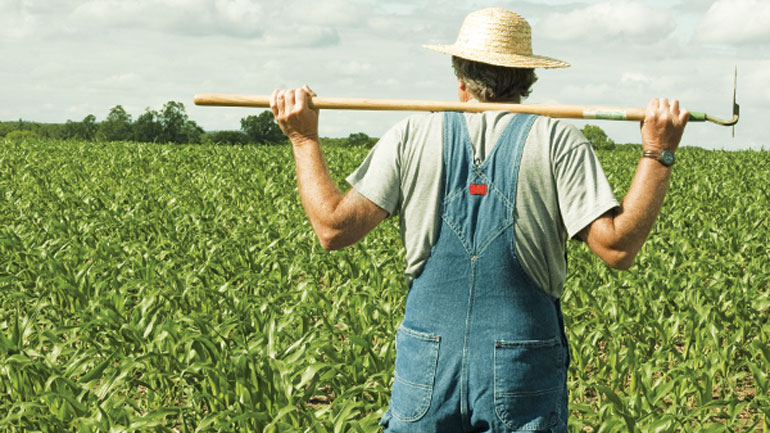 ΟΠΕΚΕΠΕ: Πληρωμές 229 εκατ. ευρώ σε αγρότες και ιδιώτες επενδυτές
