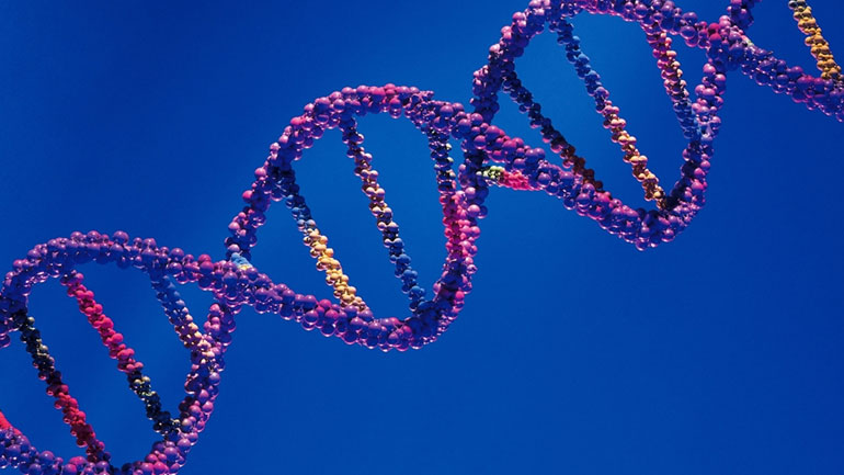 Η σημασία των γονιδίων του Ψ χρωμοσώματος