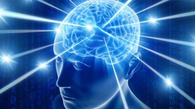Εγκέφαλοι πειραματόζωων συνδέθηκαν σε ένα ενιαίο δίκτυο