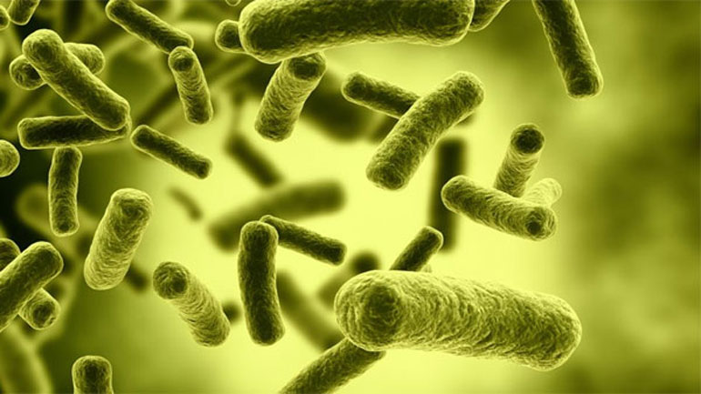 Βρετανός στρατιωτικός προσβλήθηκε από Έμπολα στη Σιέρα Λεόνε