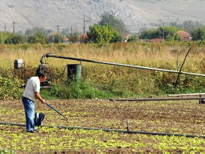 Αποζημιώσεις 1,3 εκατ. ευρώ από τον ΕΛΓΑ
